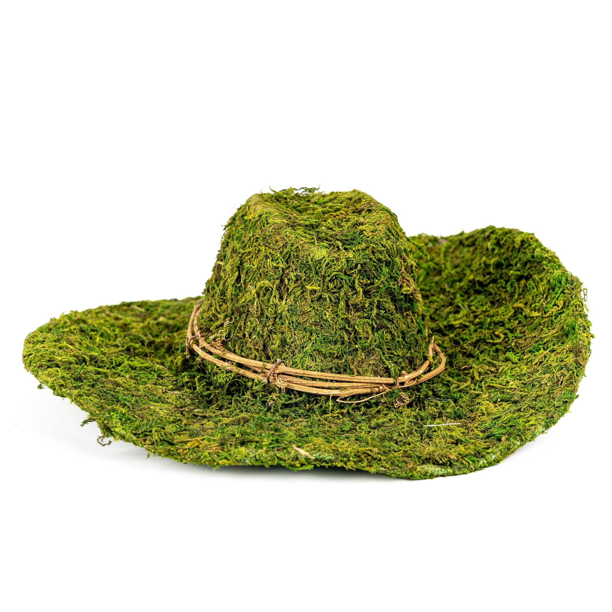13" Decorative Moss Western Hat by Ashland®